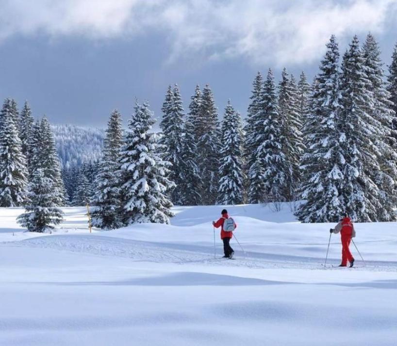 Gite Au Coeur Du Jura Entre Comte Et Vin Jaune, Gite Vin Jaune Chamole Eksteriør bilde
